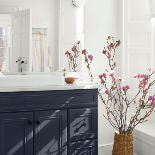 ADVANCE® Interior Paint