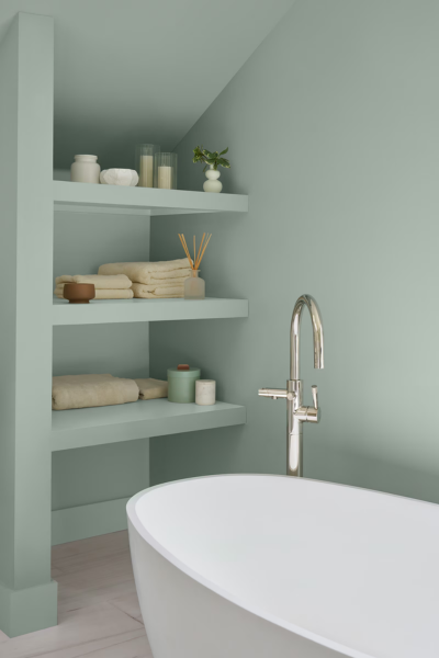 Benjamin Moore Raindance 1572 | 2026 Year of Steely Green with Gray Undertones