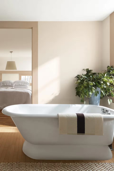 Benjamin Moore Sherwood Tan 1054 | 2026 Year of Classic Warm Tan Paint Color