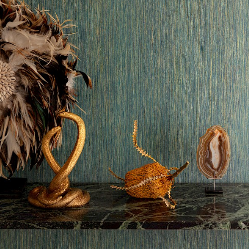 Masureel Collection Cabinet of Curiosities