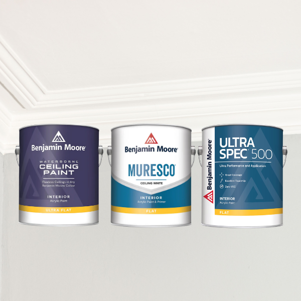 Ceiling Paints