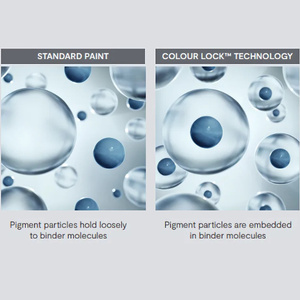 AURA Waterborne Exterior Paint - Flat Finish F629