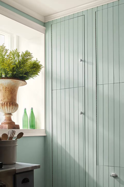 Benjamin Moore Raindance 1572 | 2026 Year of Steely Green with Gray Undertones