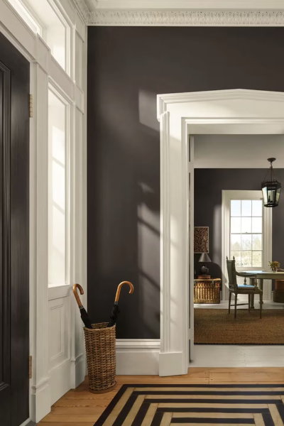 Benjamin Moore Silhouette AF-655 | 2026 Year of Rich Espresso Brown